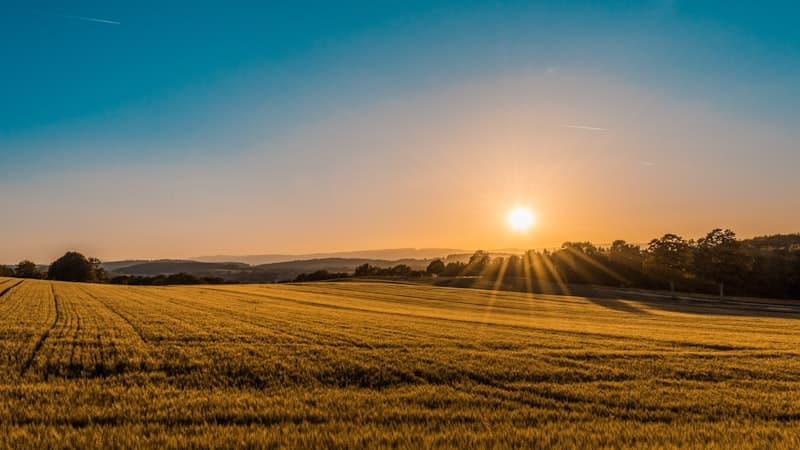 The Ultimate Guide to Buying Land in Purbachal